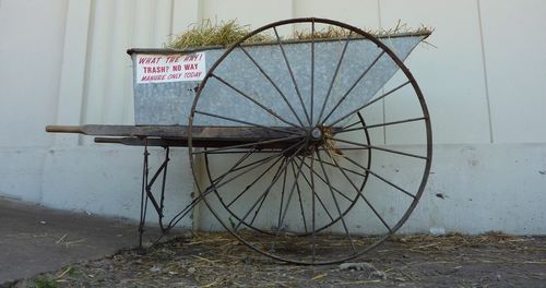 Minnesota State Fair 15