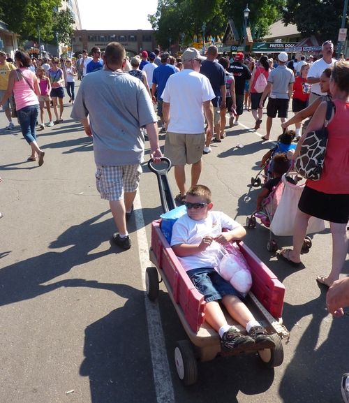 Minnesota State Fair 14