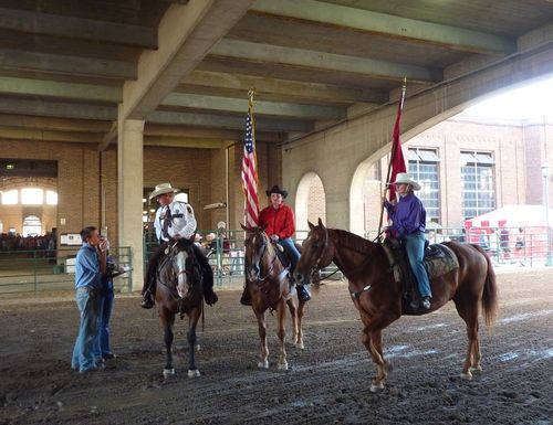 Minnesota State Fair 19