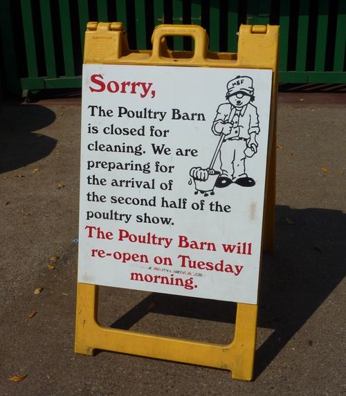 Minnesota State Fair 4