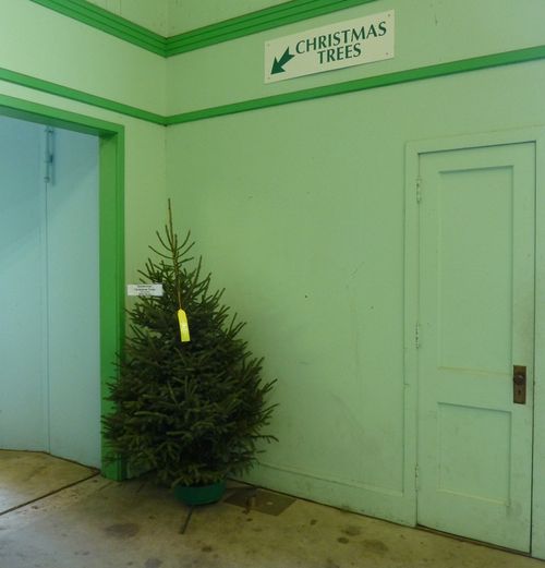 Minnesota State Fair 15