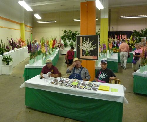 Minnesota State Fair 10