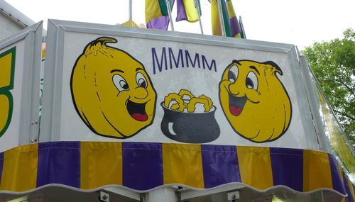 Minnesota State Fair 10