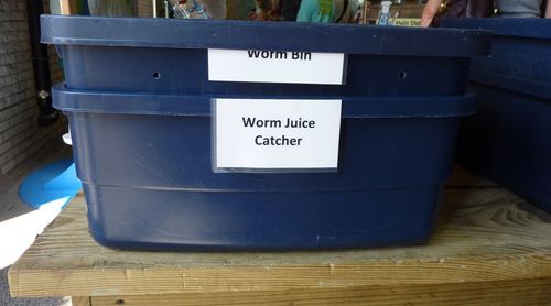 Minnesota State Fair 9