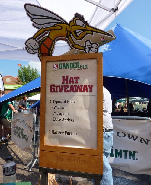 Minnesota State Fair 11