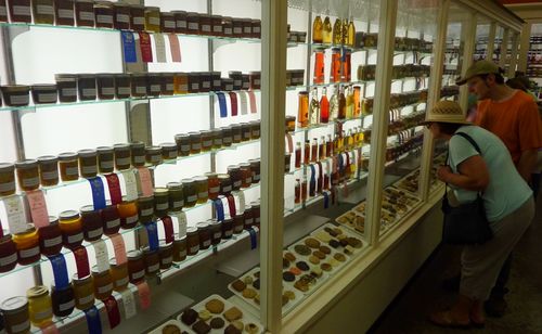 Minnesota State Fair 24