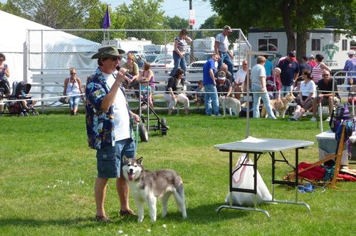 Minnesota State Fair 7