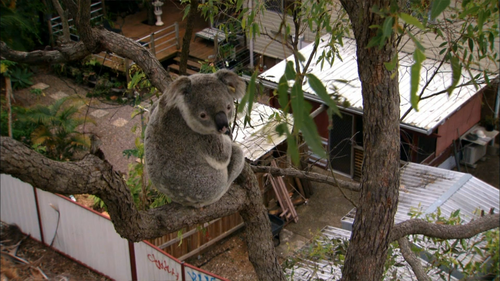 00002.m2ts_snapshot_22.43_[2012.07.27_13.11.18]