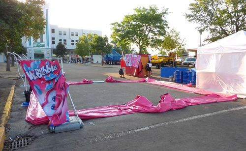 Minnesota State Fair 1