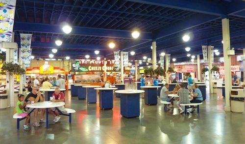 Minnesota State Fair 6