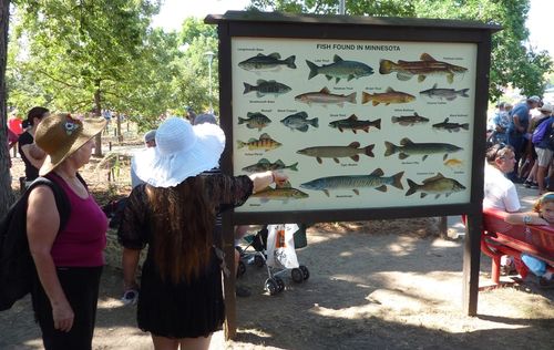 Minnesota State Fair 20