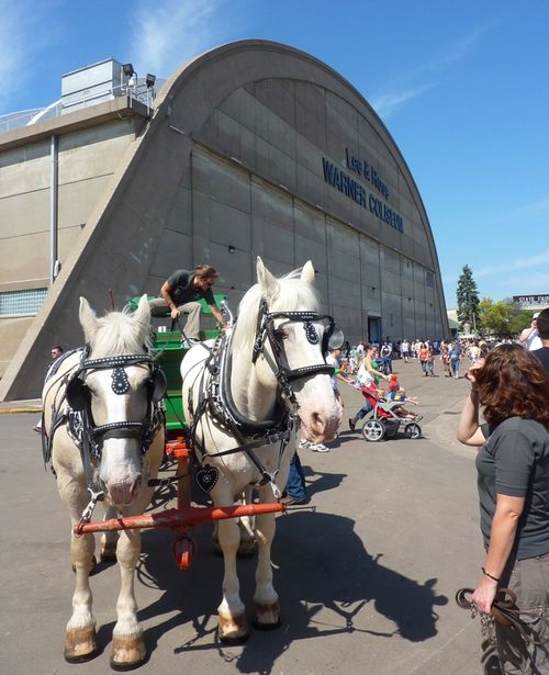 Minnesota State Fair 22