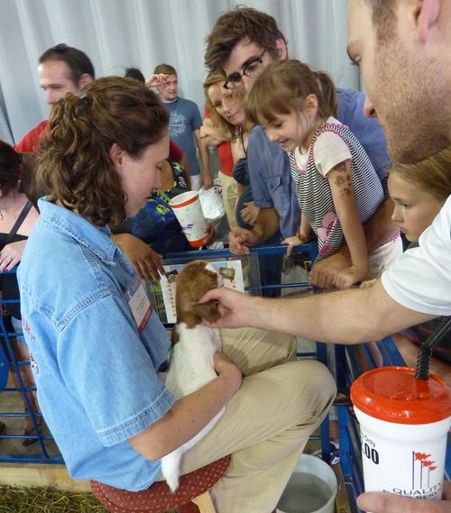 Minnesota State Fair 25