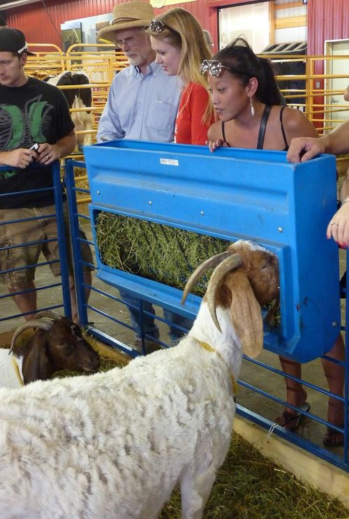 Minnesota State Fair 26