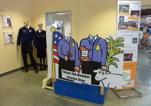 Minnesota State Fair 31