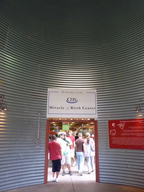 Minnesota State Fair 33