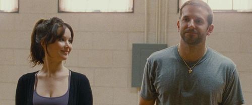 SILVER LININGS PLAYBOOK