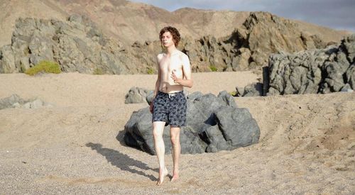 CRYSTAL FAIRY Michael Cera