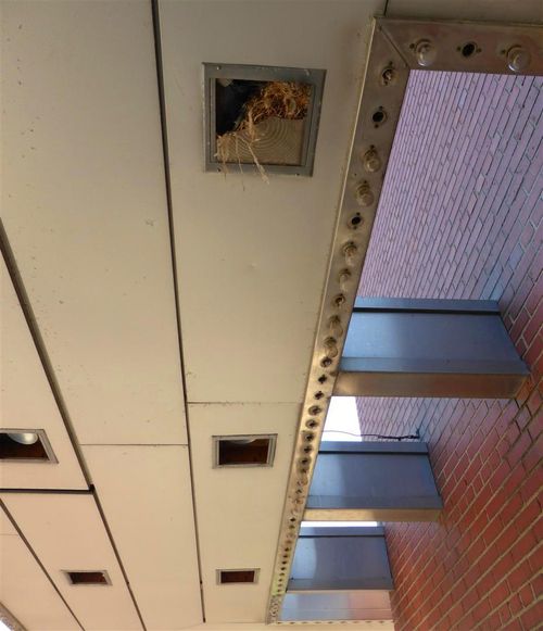 Terrace Theater Robbinsdale Minnesota 27