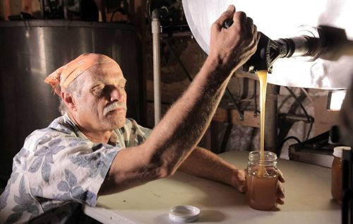 MORE THAN HONEY 2 MORE THAN HONEY 2