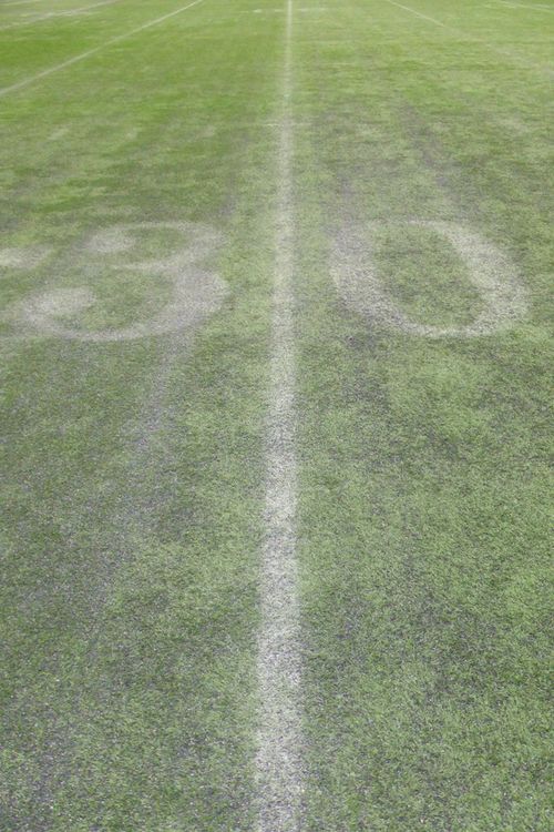 Minnesota Metrodome 34