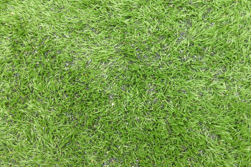 Minnesota Metrodome 39