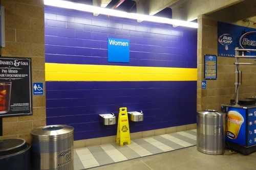 Minnesota Metrodome 44