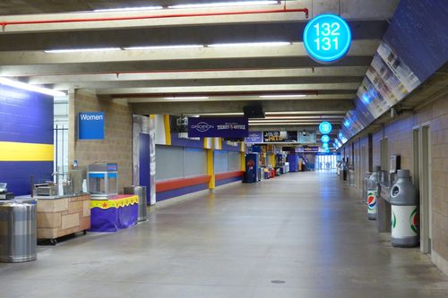 Minnesota Metrodome 48