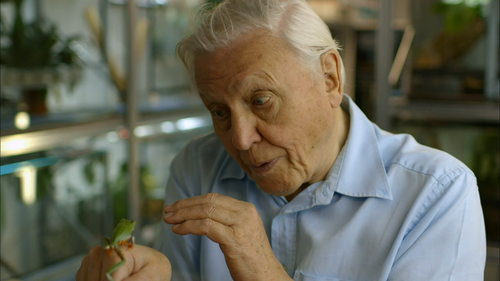 Fabulous Frogs David Attenborough