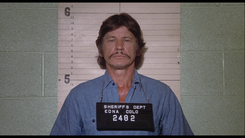 MR. MAJESTYK Charles Bronson