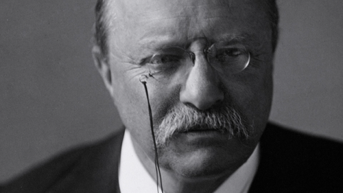 Roosevelts An Intimate History