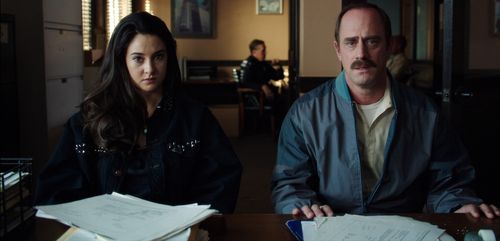 WHITE BIRD IN A BLIZZARD 3