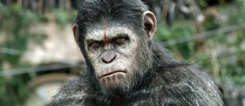 O-DAWN-OF-THE-PLANET-OF-THE-APES-facebook