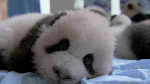 00003.m2ts_snapshot_05.53_[2015.02.20_09.09.19]