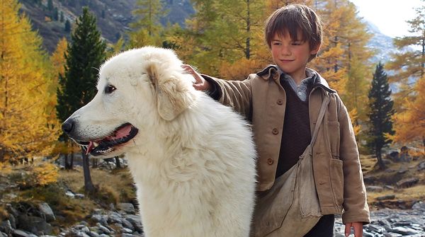 BELLE AND SEBASTIAN 2