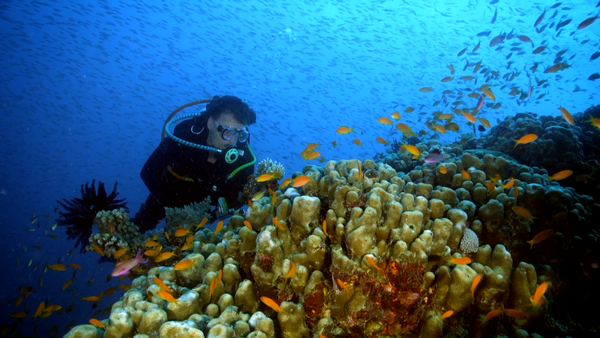 00002.m2ts_snapshot_11.06_[2015.07.21_21.36.26]