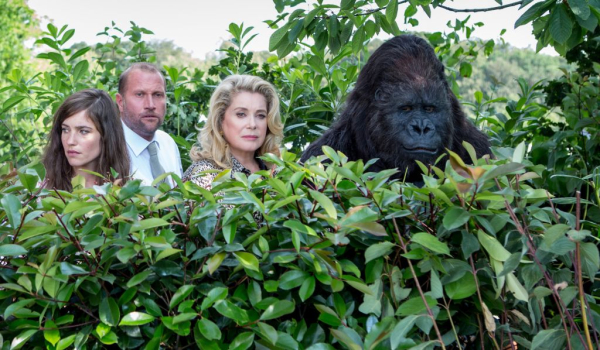 BRAND NEW TESTAMENT 1