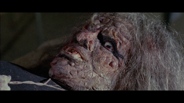 00000.m2ts_snapshot_00.45.43_[2017.01.13_09.53.00]