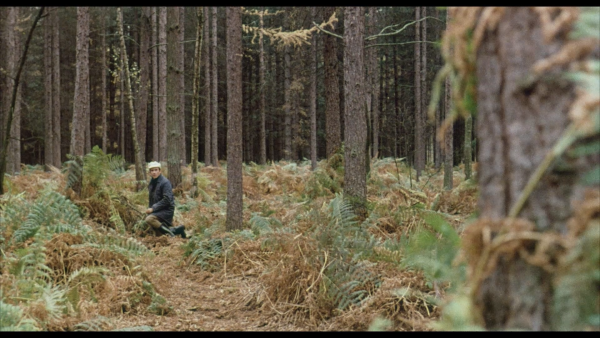 00004.m2ts_snapshot_00.24.30_[2017.01.12_16.53.57]