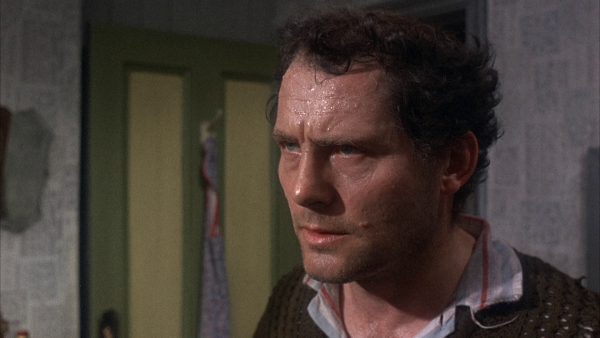 Vlcsnap-2017-08-26-16h40m21s670