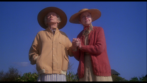 Vlcsnap-2017-12-09-06h56m52s669