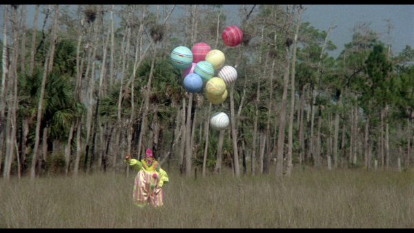 Vlcsnap-2017-12-16-13h11m07s012