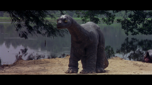 Vlcsnap-2018-01-15-18h11m54s810