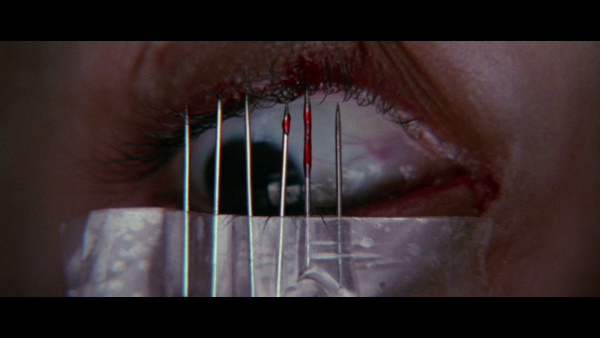 Vlcsnap-2018-01-09-16h46m01s027