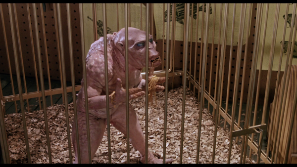 Vlcsnap-2018-03-15-19h51m10s218