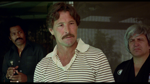 Vlcsnap-2018-04-19-20h44m35s648