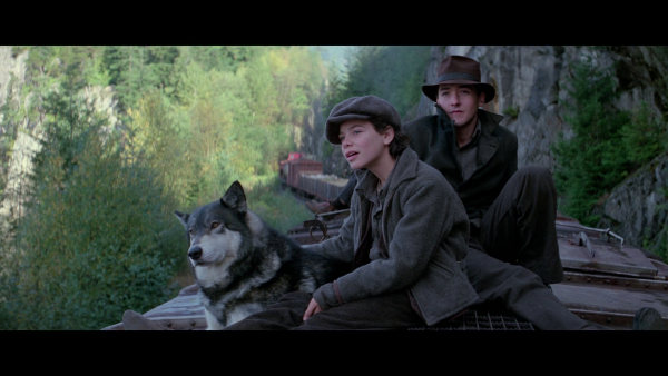 Vlcsnap-2018-07-29-22h21m14s504