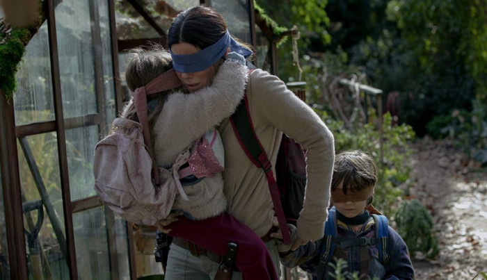BIRD BOX 1