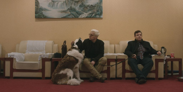 SAINT BERNARD SYNDICATE 3