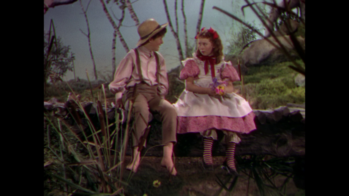 Vlcsnap-2018-11-08-21h56m19s141